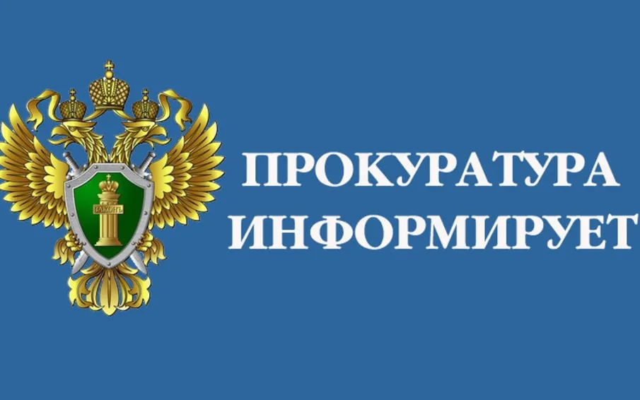 Кулебакским городским судом Нижегородской области вынесен приговор по уголовному делу в отношении 23-летнего местного жителя