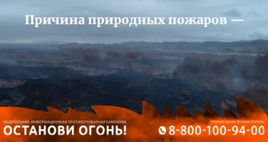 Как помочь сохранить природу?