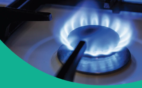 Порядок действий Заявителя при подключении жилого дома  к газораспределительным сетям ООО «Газпром газораспределение Нижний Новгород» в рамках догазификации