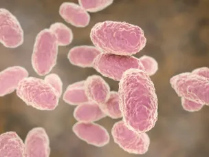 О профилактике коклюша