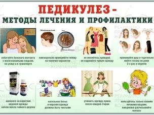 Педикулез и основные меры его профилактики