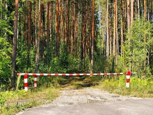 О нарушении запрета на пребывание в лесах с машинами (в том числе самоходными машинами, другими видами техники) и (или) оборудованием, предназначенными для рубки лесных насаждений, а также для транспортировки древесины из леса