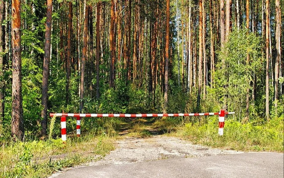О нарушении запрета на пребывание в лесах с машинами (в том числе самоходными машинами, другими видами техники) и (или) оборудованием, предназначенными для рубки лесных насаждений, а также для транспортировки древесины из леса