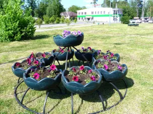 Более 20 тысяч цветов будет высажено в этом году на клумбы нашего города