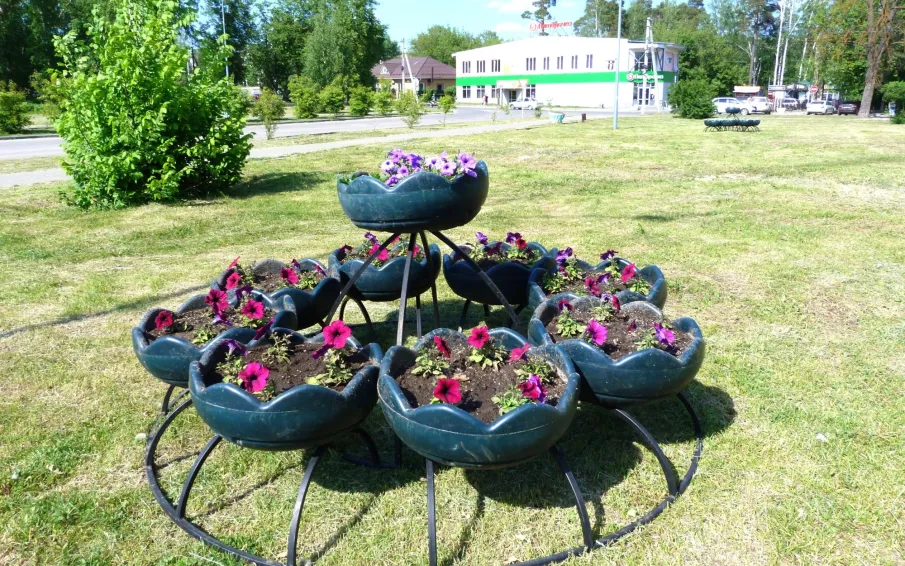 Более 20 тысяч цветов будет высажено в этом году на клумбы нашего города
