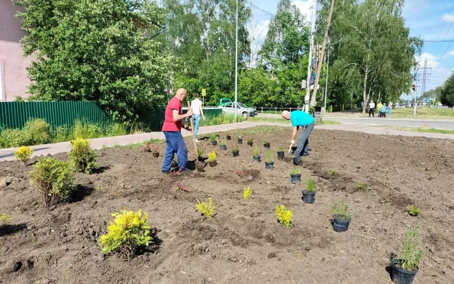 Еще одна клумба появилась в Кулебаках: на пересечении улиц Адмирала Макарова и Циолковского
