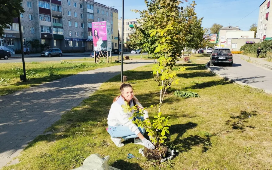 У фонтана на ул. Воровского высажены каштаны