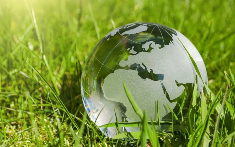 Неправительственный экологический фонд имени В.И. Вернадского в 2024 году реализует международный проект «Экологическая культура. Мир и согласие»