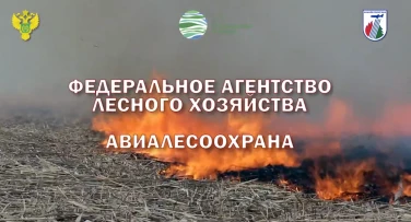 Давайте вместе сохраним зелёное богатство для будущих поколений!