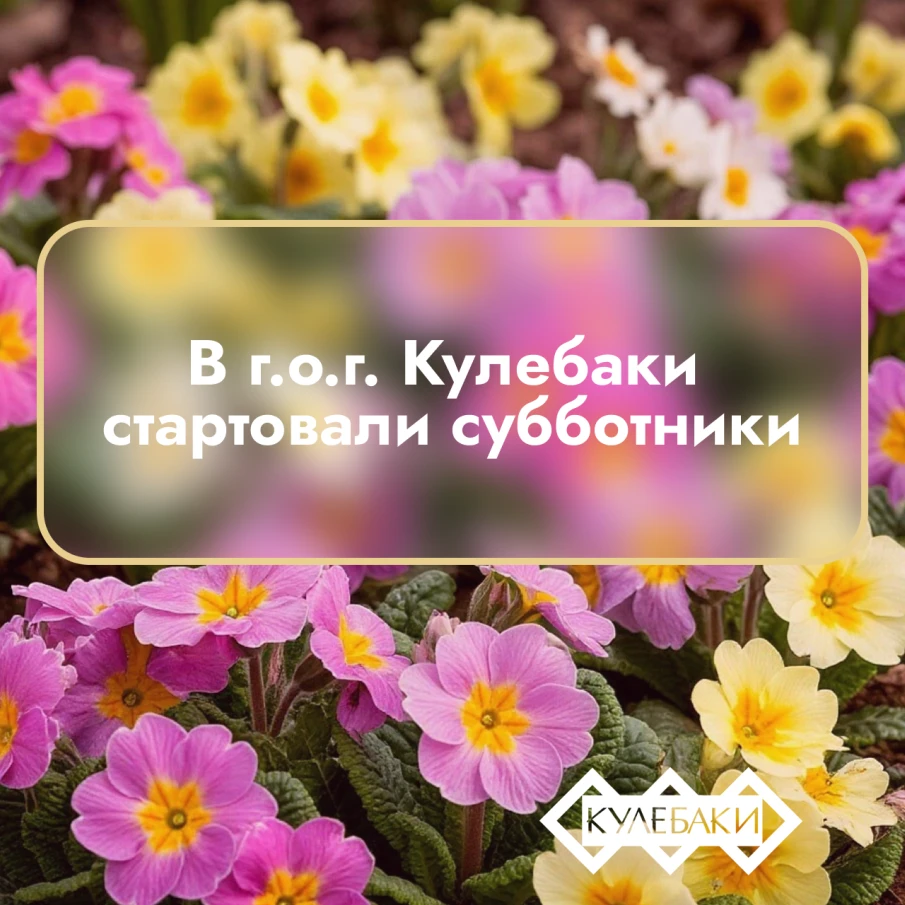 С наступлением тепла в городском округе город Кулебаки стартовали весенние субботники