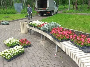Городской парк преобразился к лету