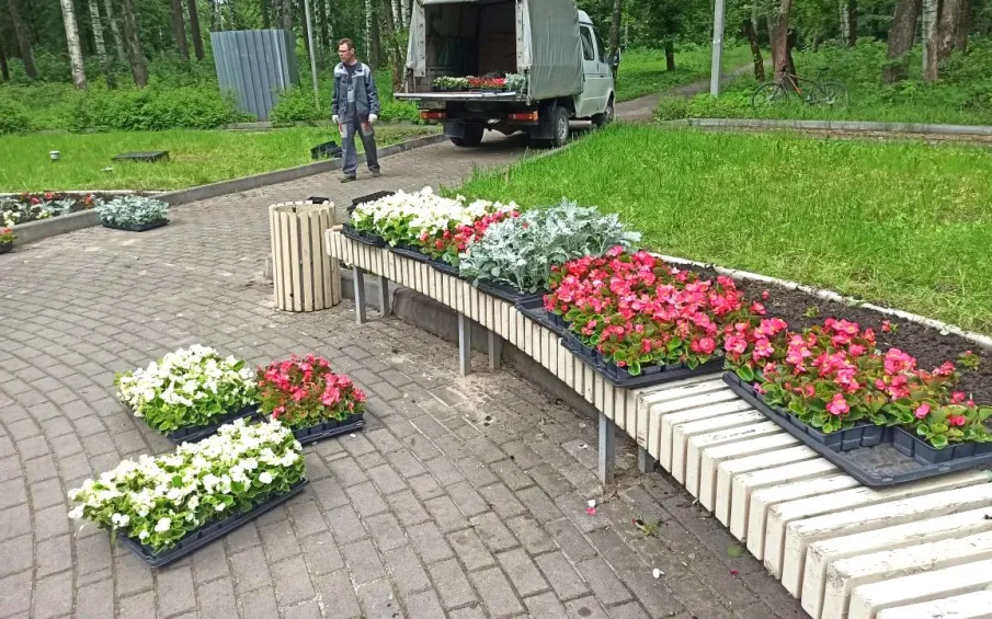 Городской парк преобразился к лету