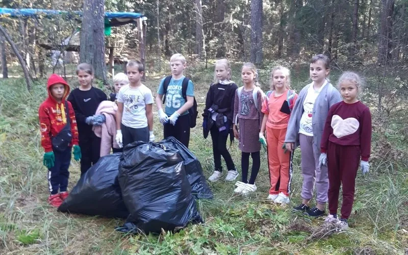 В округе проведена акция «Чистый лес»