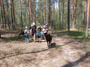 В прогулочной группе «Нескучные каникулы» - неделя экологии