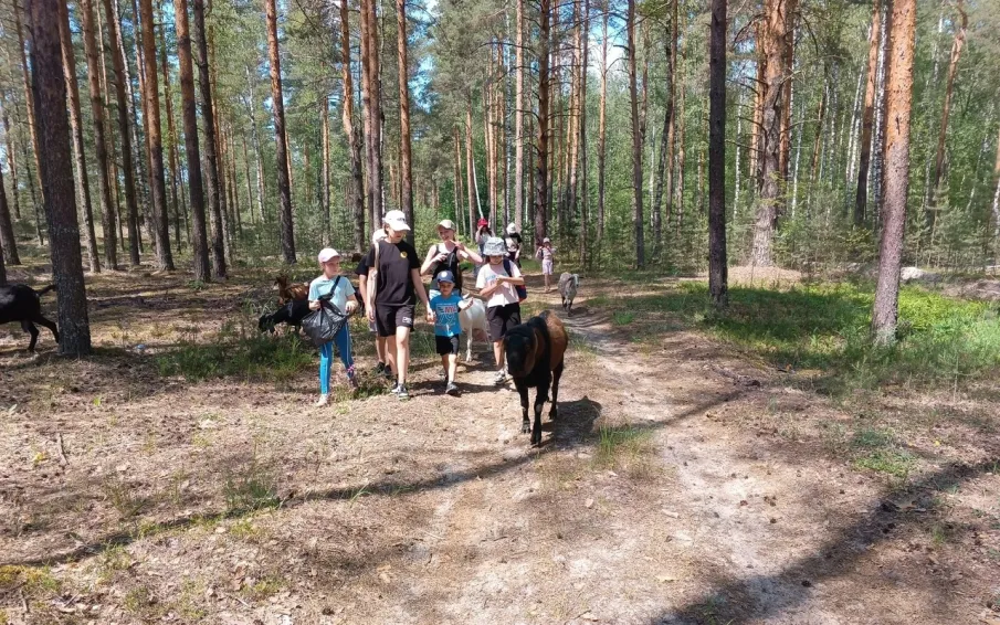 В прогулочной группе «Нескучные каникулы» - неделя экологии