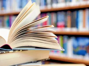 Подведены итоги муниципального конкурса профессионального творчества библиотекарей общеобразовательных организаций «КнИгиня – 2023»