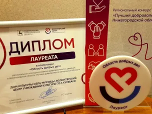 Кулебачане среди лучших добровольцев региона!