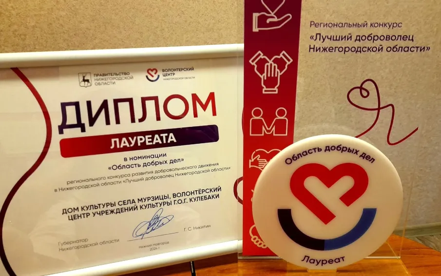 Кулебачане среди лучших добровольцев региона!
