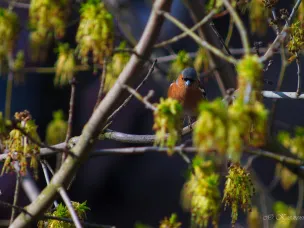 Приглашаем принять участие в конкурсе видео-работ экологической тематики