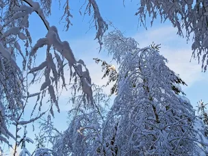 Ожидается аномально холодная погода со среднесуточной температурой воздуха на 7-14°С ниже климатической нормы