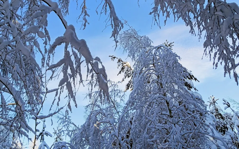 Ожидается аномально холодная погода со среднесуточной температурой воздуха на 7-14°С ниже климатической нормы