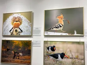 В Русском музее фотографии открылась выставка «Ангел неба»