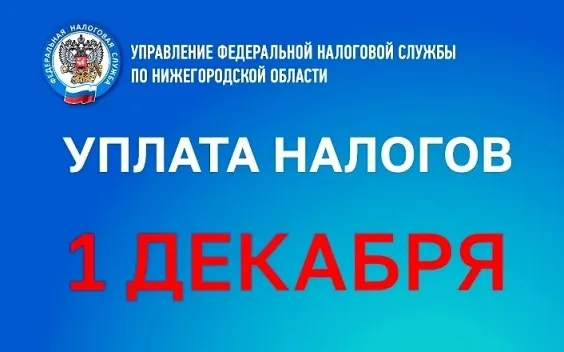 Нижегородцам напоминают о сроках уплаты имущественных налогов