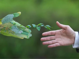 Администрация г.о.г.Кулебаки информирует о старте VI Всероссийского конкурса лучших региональных природоохранных практик «Надёжный партнёр – Экология»