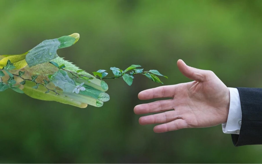 Администрация г.о.г.Кулебаки информирует о старте VI Всероссийского конкурса лучших региональных природоохранных практик «Надёжный партнёр – Экология»