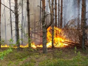 Внимание! Высокая пожароопасность лесов и торфяников!
