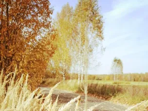 Высокая пожароопасность сохраняется