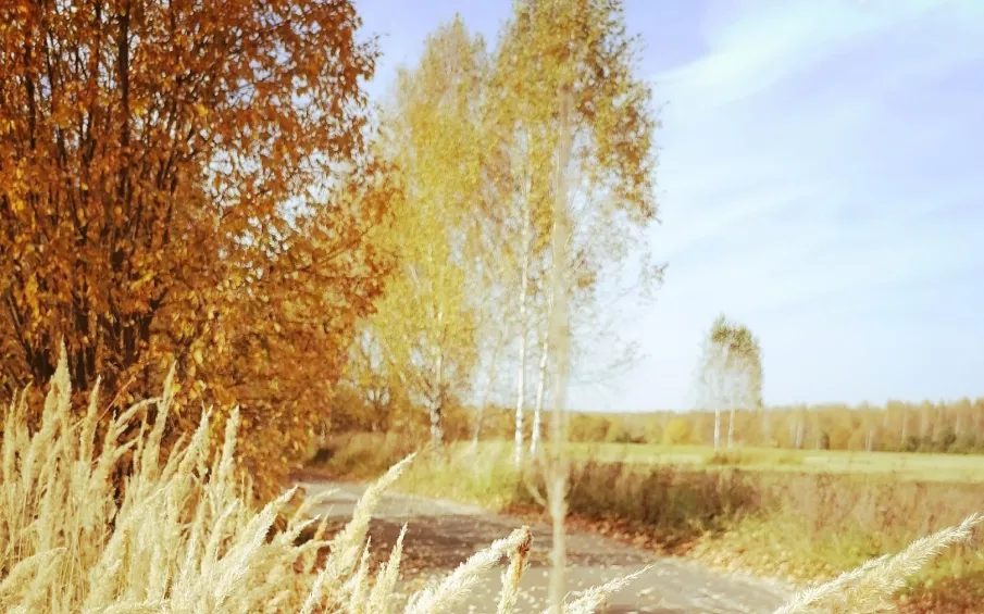 Высокая пожароопасность сохраняется