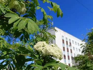 Фотовыставка "Красота вокруг нас".  Нелли Горина