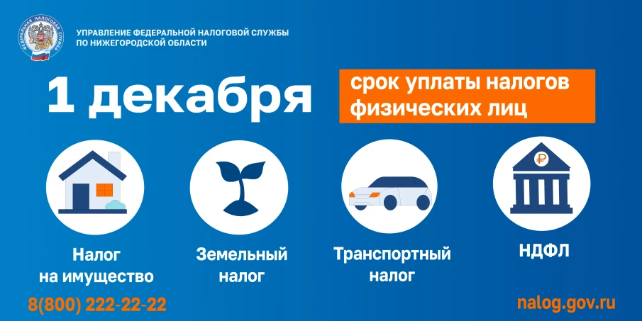 Нижегородцам напомнили о сроках уплаты налогов физических лиц