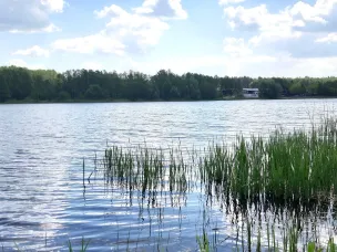 Памятка о безопасности поведения на воде для детей и родителей в летний период