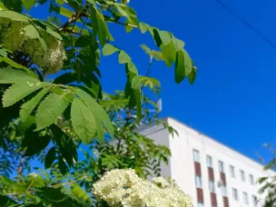 С 11 по 15 июля в регионе  сохранится высокая пожароопасность!