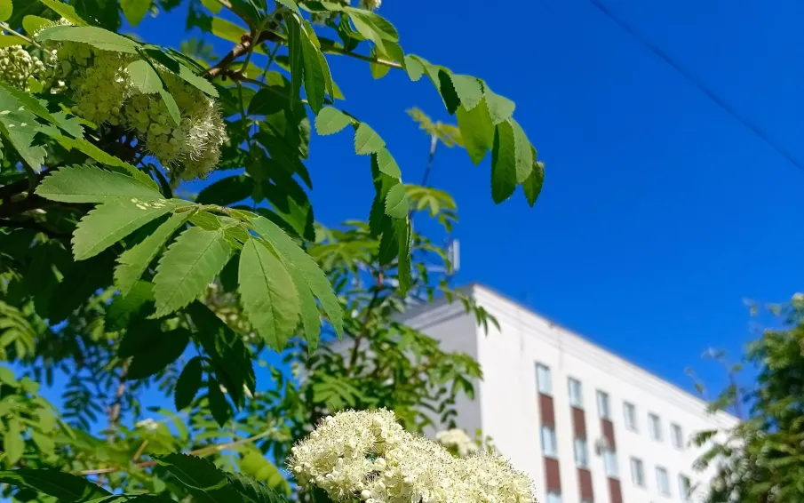 С 11 по 15 июля в регионе  сохранится высокая пожароопасность!