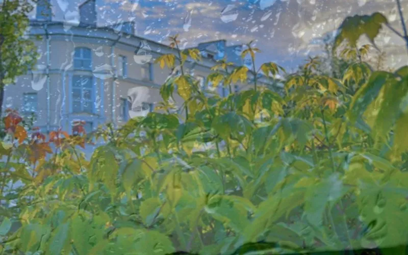 Внимание! Ожидаются ливни!