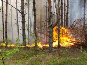 Сохраняется высокая пожароопасность!