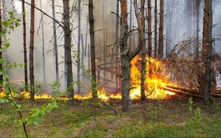 Сохраняется высокая пожароопасность!