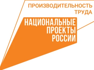 Нижегородские предприятия приглашаются для участия в вебинаре по промышленной безопасности в рамках нацпроекта