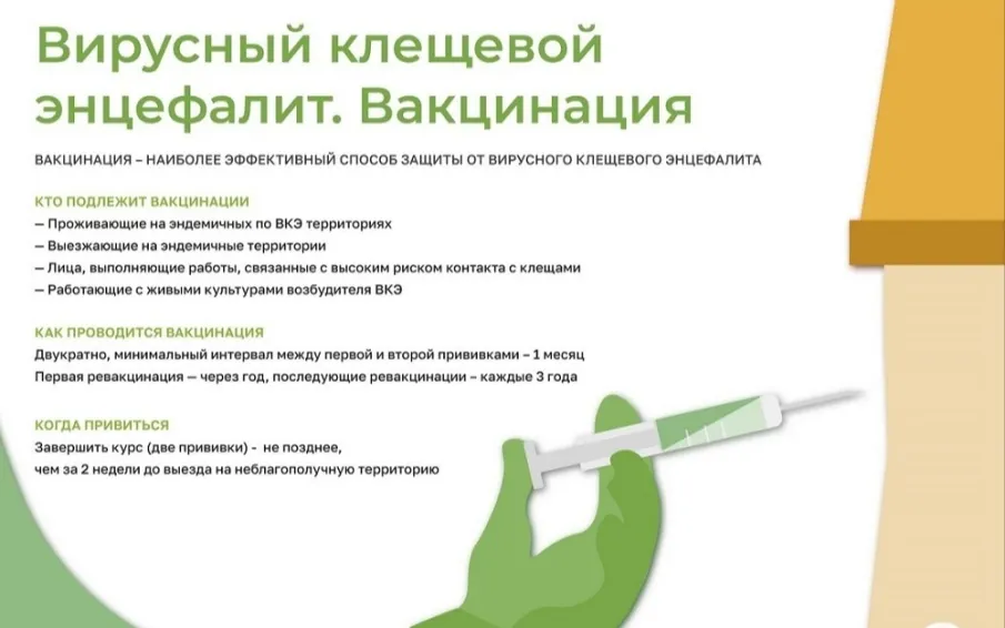 Вирусный клещевой энцефалит