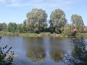 Сектором экологической безопасности организуется уборка пруда «Новостройский» в рамках акции «Чистый берег» 16 мая!