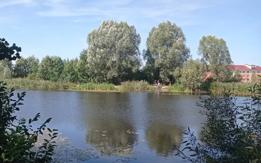 Сектором экологической безопасности организуется уборка пруда «Новостройский» в рамках акции «Чистый берег» 16 мая!