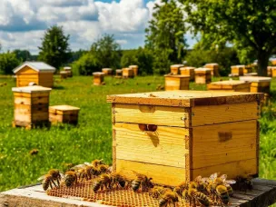 Информация для пчеловодов