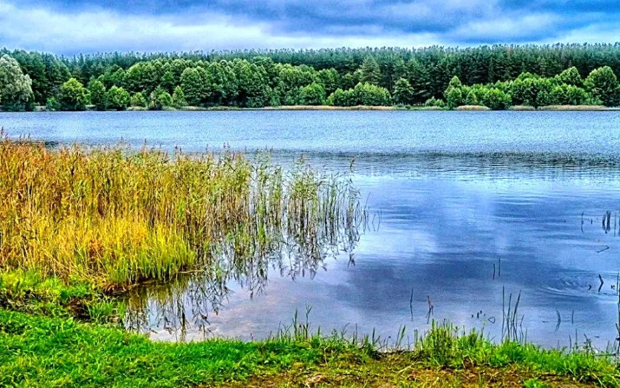 Пусть отдых у воды будет безопасным!