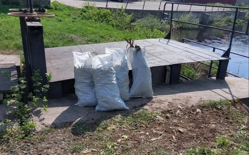 «Спасибо за чистый берег!» - привели в порядок «Старый пруд» у Автостанции