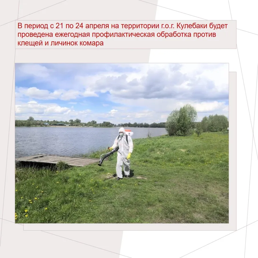 21 – 24 апреля пройдет обработка против клещей и комаров