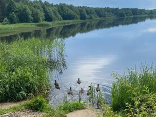 29 мая отделом экологической безопасности организуется уборка пруда «Устимский» в рамках акции «Вода России»!