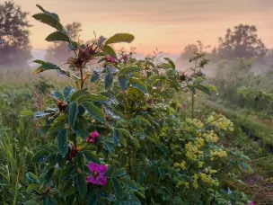 Ожидаются сильные дожди!